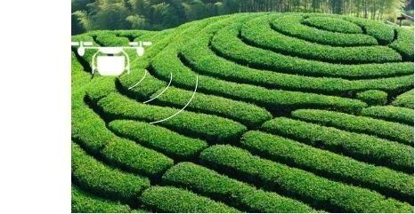 Windsichere Pestizid-Sprühdrohne Bequem mit schneller Freisetzung