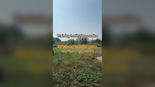 Präzisionsspritzdrohne löst Schulungsstreitigkeiten